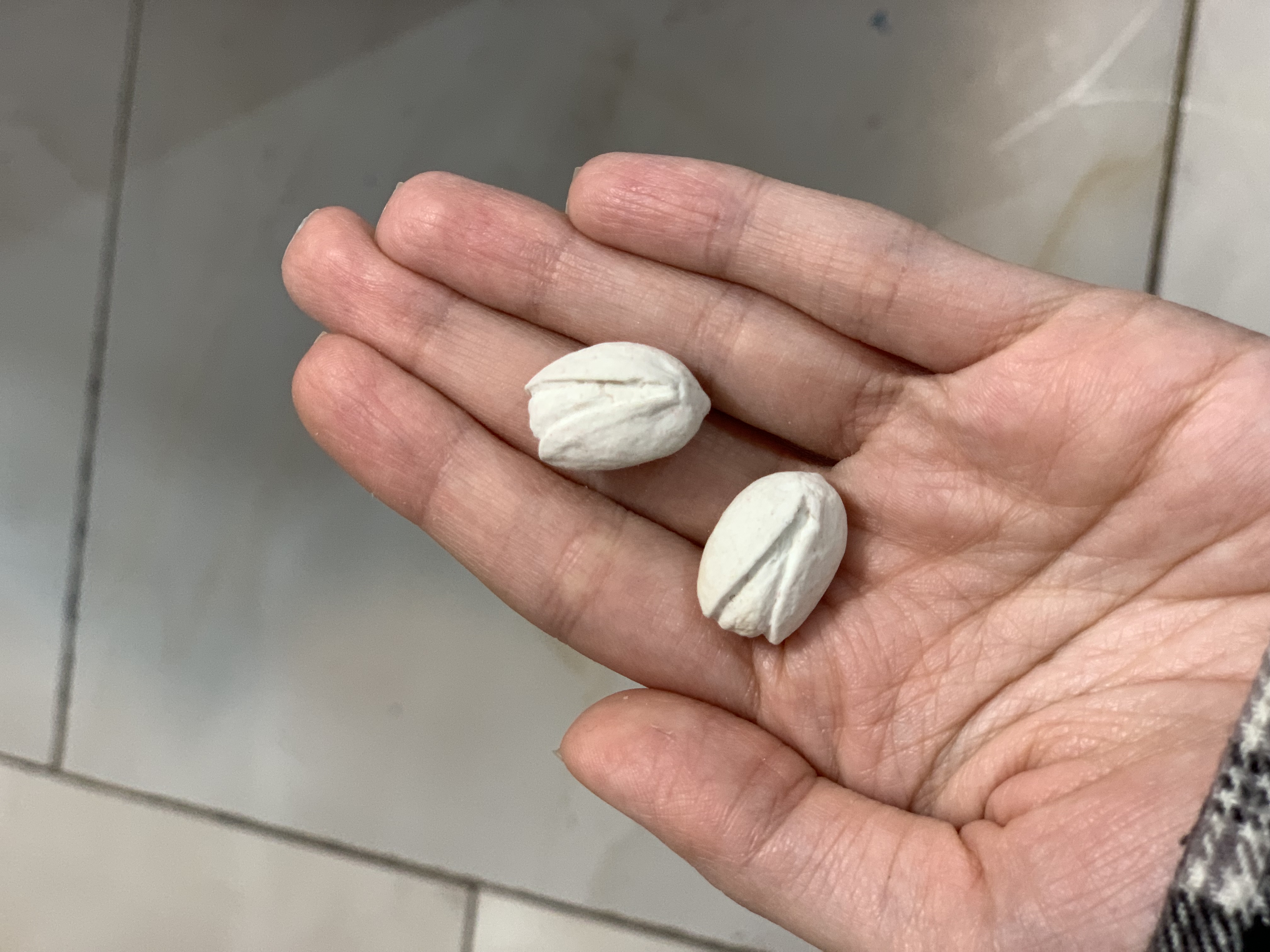 قالب سیلیکونی پسته