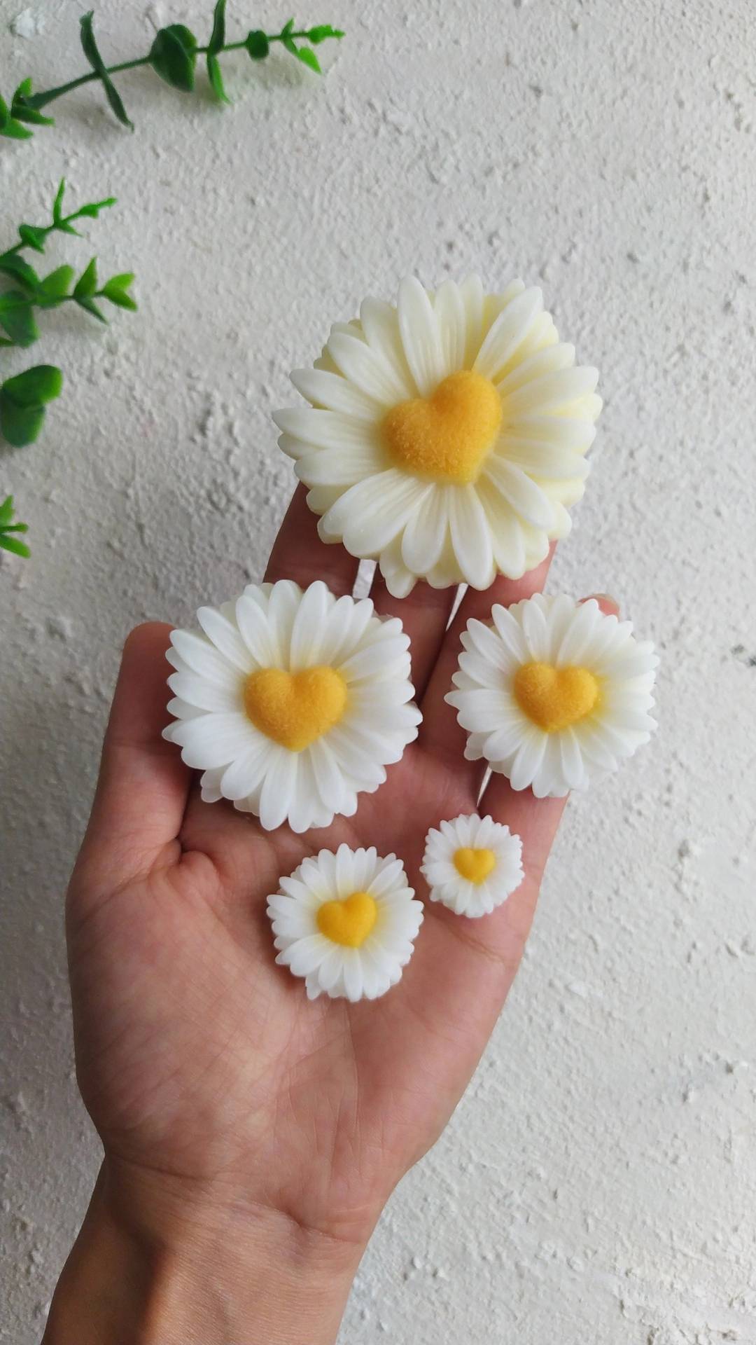 قالب سیلیکونی گل بابونه قلبی